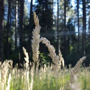 Meet your Posher, Alana